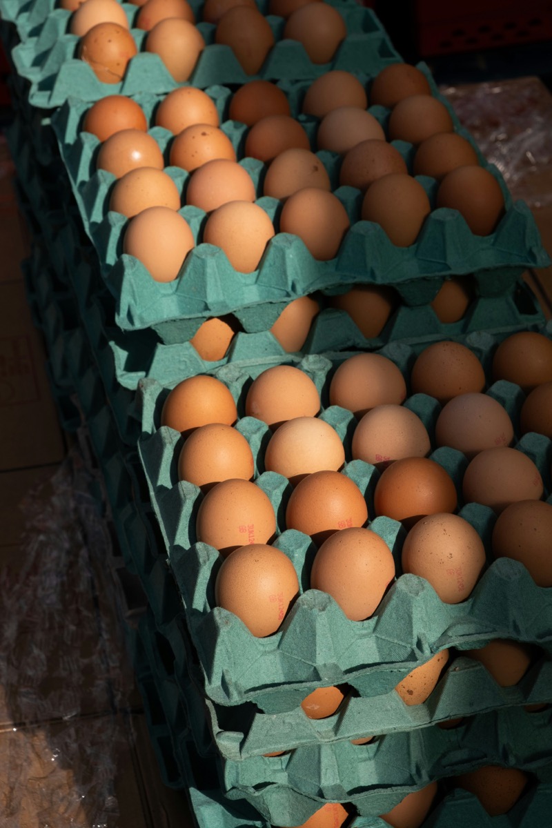 Eggs at Barwala wholesale market — NECC barwala egg rate today